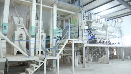 “碰網觸電”拓銷路，黃陂大米借力電商升級設備銷售